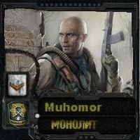 Muhomor профиль